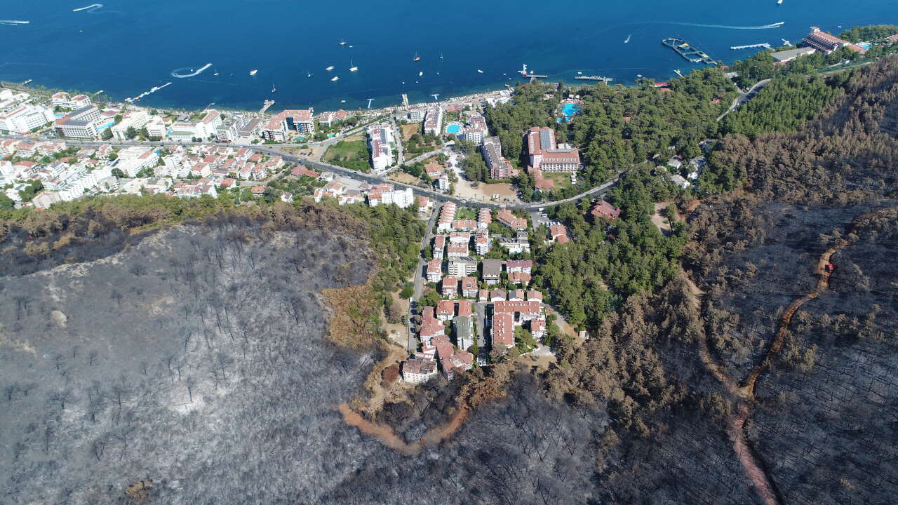 Muğla’daki Büyük Yangınların Üzerinden 5 Yıl Geçti: Yanan Ormanlar Yeniden Yeşerdi 11